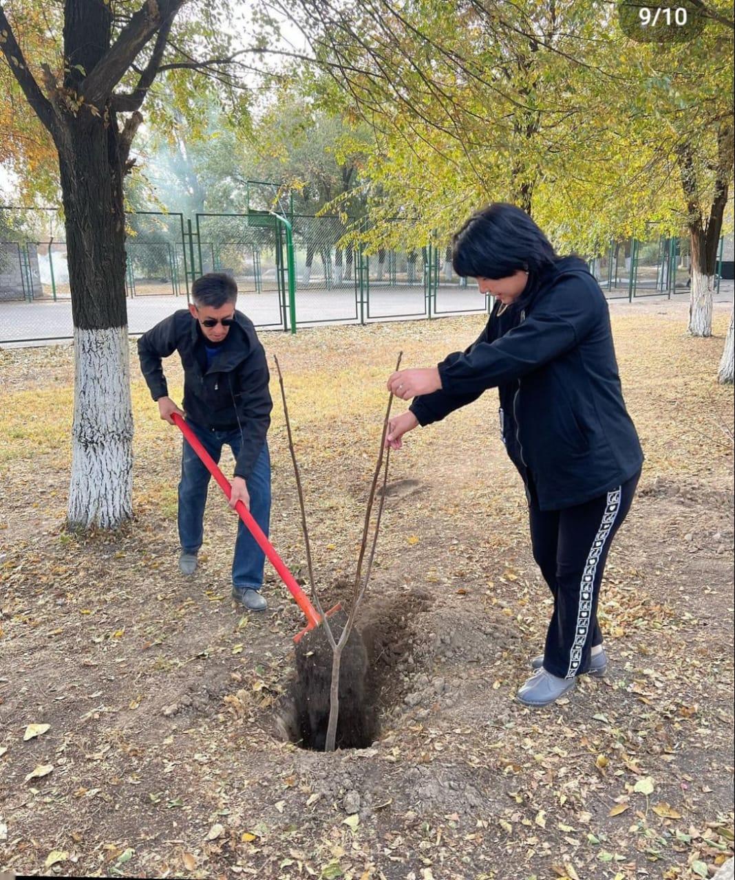 Республика куніне орай, мектеп айналасына ағаш отырғызылды